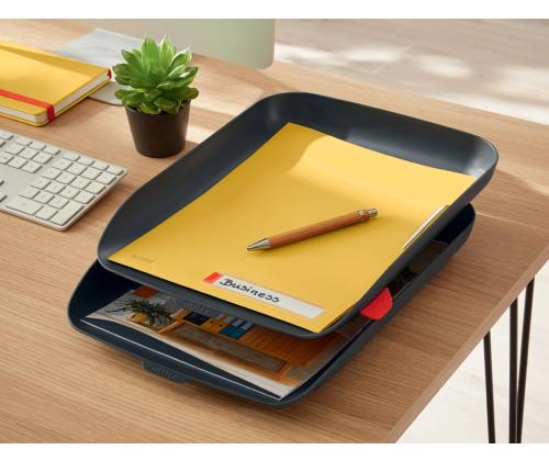 Dokumendisahtel LEITZ Cosy A4 hall 2tk pakendis