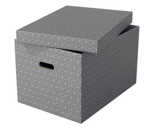 Hoiukast kaanega ESSELTE Home 355x305x510mm (L) hall 3tk
