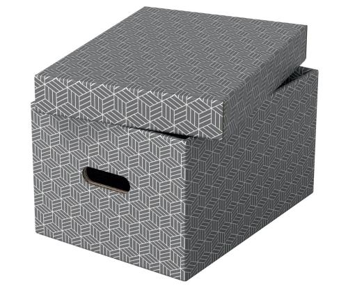 Hoiukast kaanega Esselte Home Storage Box Medium (265x205x365mm)
