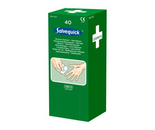 Kätepuhastuse salvetid SALVEQUCIK N40