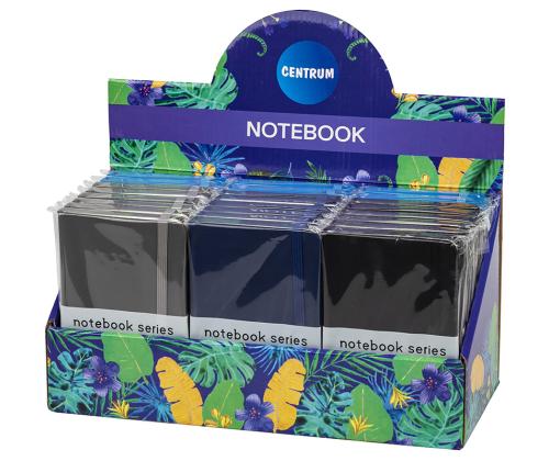 Kaustik raamatköites A6 jooneline kummikinnitusega CENTRUM 80 lehte, assortii värvid