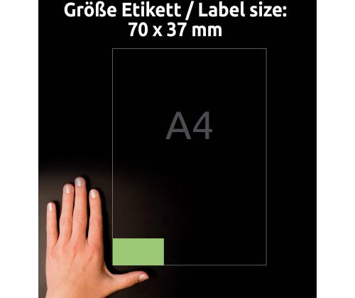 Kleebisetikett AVERY Zweckform 70x37mm 10 lehte roheline (3450-10)