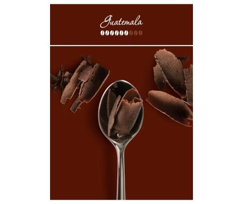 Kohvioad Monoarabica Guatemala, ILLY, 250 g