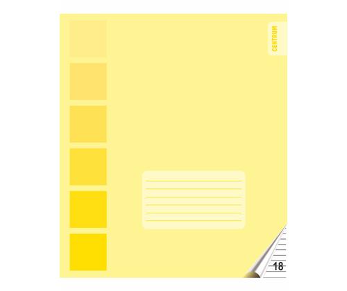 Koolivihik jooneline CENTRUM 18 lehte