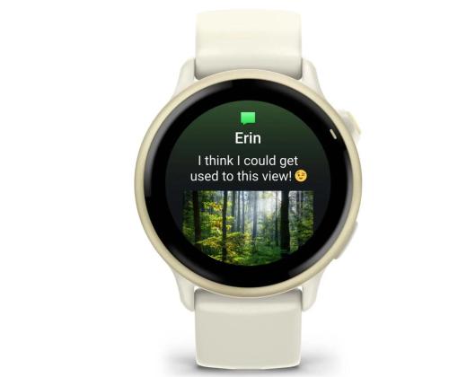 SMARTWATCH VIVOACTIVE 6/LUNAR GOLD 010-02985-01 GARMIN