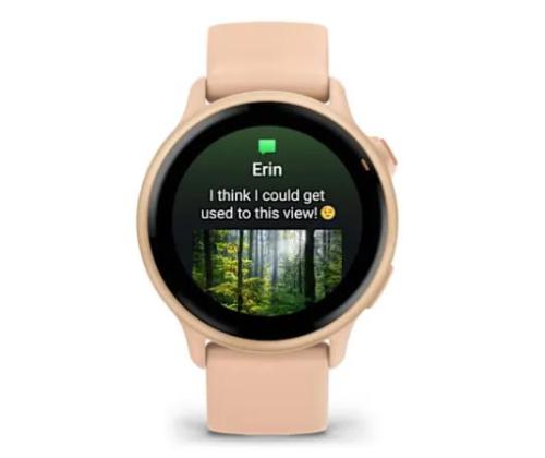 SMARTWATCH VIVOACTIVE 6/PINK DAWN 010-02985-03 GARMIN