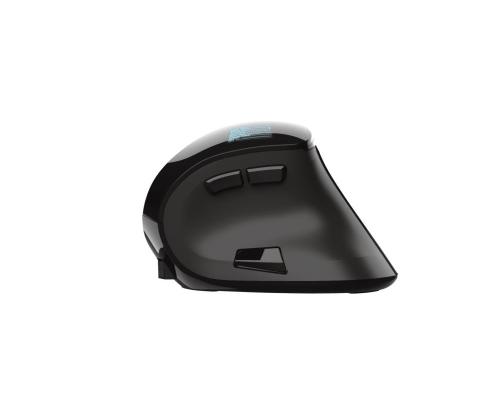 MOUSE USB OPTICAL ERGONOMIC/VOXX 23731 TRUST