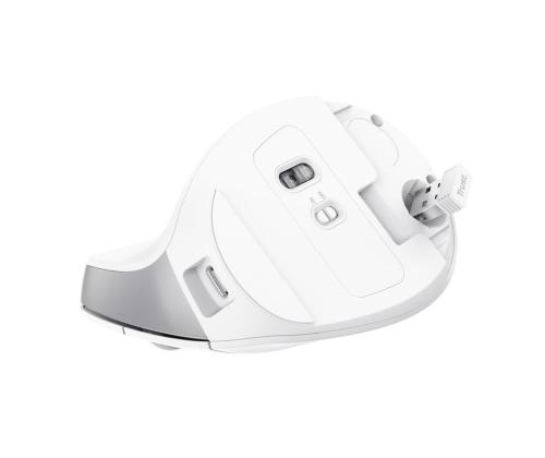MOUSE USB OPTICAL WRL BAYO II/ERGO WHT 25398 TRUST