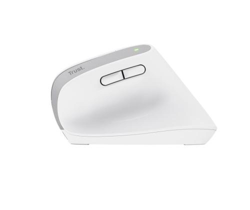 MOUSE USB OPTICAL WRL BAYO+/ERGONOMIC WHT 25399 TRUST