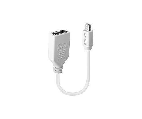ADAPTER MINI DP TO DP/0.2M 41021 LINDY