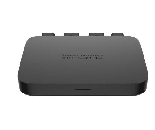 CAR ALTERNATOR CHARGER 800W/5015501003 ECOFLOW