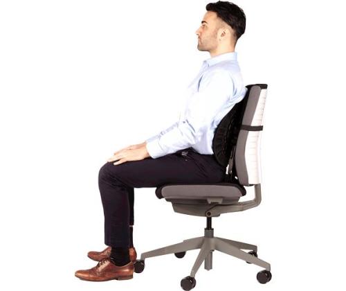 CHAIR BACK SUPPORT/BACK ANGEL 8026401 FELLOWES