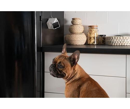 WRL CAMERA HD/CC10US PETCUBE