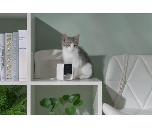 WRL CAMERA HD/CC10US PETCUBE