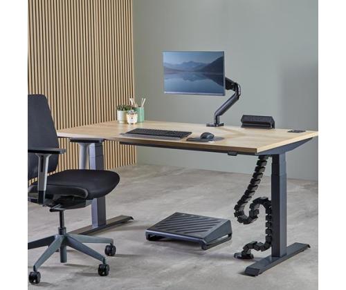 CABLE ACC SPINE ORGANIZER/BLACK 100136871 FELLOWES