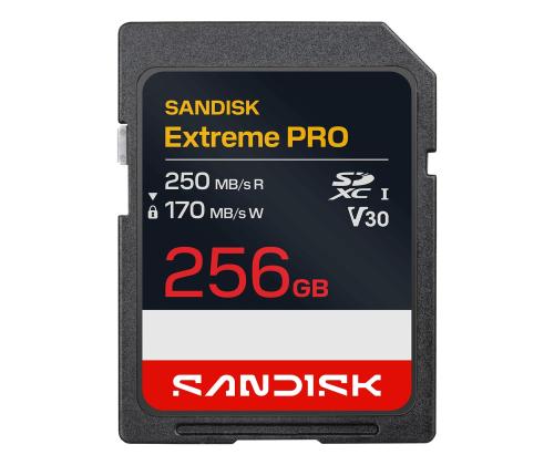 MEMORY SDXC 256GB UHS-1/SDSDXXJ-256G-GSCIN SANDISK
