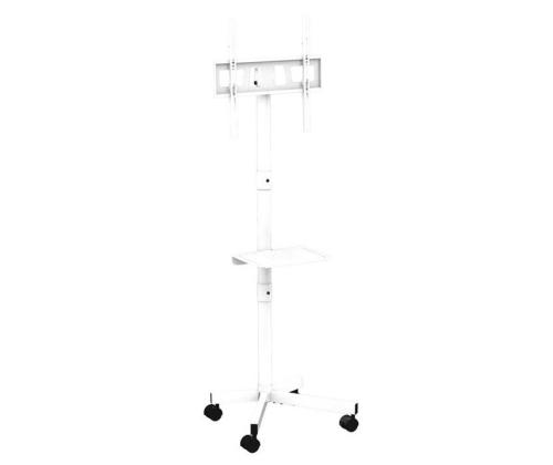 TV SET ACC FLOOR STAND 32-55"/TVS-55T-03-W GEMBIRD