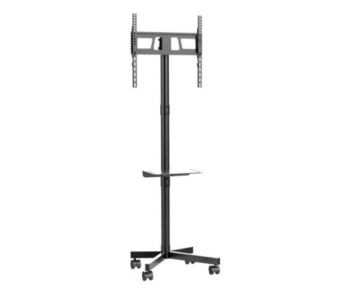 TV SET ACC FLOOR STAND 32-55"/TVS-55T-03 GEMBIRD