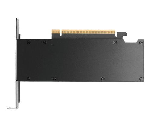 Graphics Card PNY NVIDIA RTX PRO 2000 16 GB GDDR7 128 bit PCI Express x8 5.0 Active VCNRTXPRO2000-PB