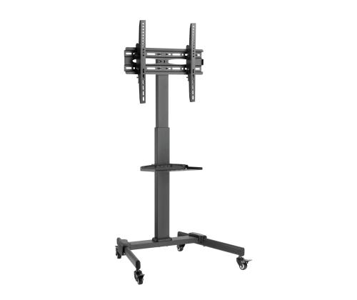 TV SET ACC FLOOR STAND 32-55"/TVS-55T-01 GEMBIRD