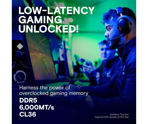 MEMORY DIMM PRO 32GB DDR5-6000/KIT2 CP2K16G60C36U5W CRUCIAL