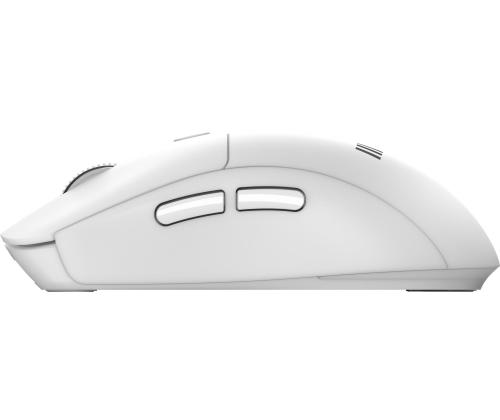 KEYBOARD +MOUSE/FORGE K210 W COMBO WHITE MSI