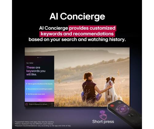 TV Set LG 65 " 4K Ultra HD 3840 x 2160 pixels Flat 16:9 QNED 65QNED70A6A