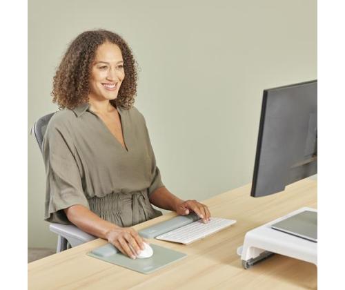 KEYBOARD ACC WRIST RESTS/COMP. SAGE 100142573 FELLOWES