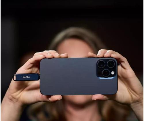 MEMORY DRIVE FLASH USB-C 64GB/SDIXD0N-064G-GN6NN SANDISK