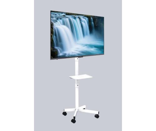 TV SET ACC FLOOR STAND 32-55"/TVS-55T-03-W GEMBIRD