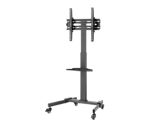 TV SET ACC FLOOR STAND 32-55"/TVS-55T-01 GEMBIRD