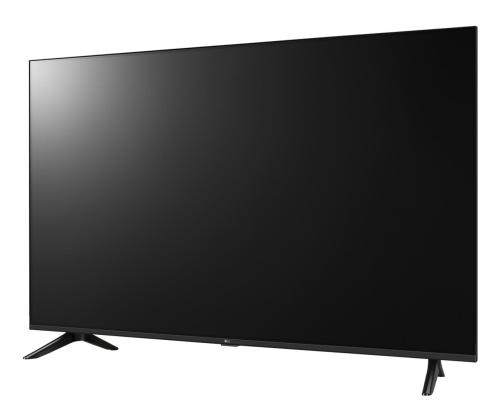TV Set LG 65 " 4K Ultra HD 3840 x 2160 pixels Flat 16:9 LCD 65UA731C