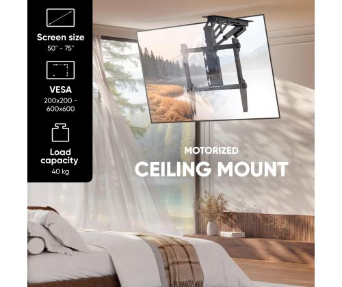 TV SET ACC CEILING MOUNT/50-75" BLACK N3LE-B ONKRON