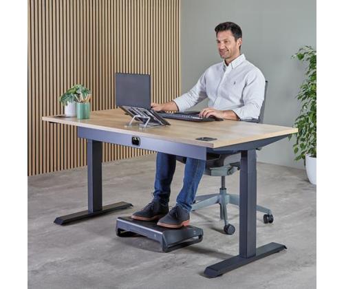 NB ACC STAND PORTABLE/SILVER 100138867 FELLOWES