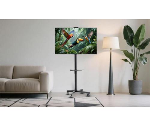 TV SET ACC FLOOR STAND 32-55"/TVS-55T-03 GEMBIRD