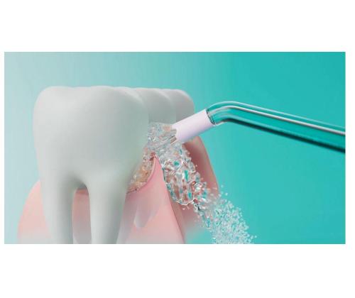 ELECTRIC FLOSSER/HX3826/31 PHILIPS