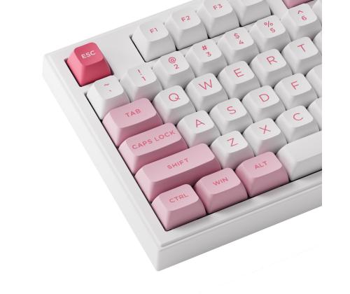 KEYBOARD WRL 5098B PRUNUS/LANNESIANA 6925758630924 AKKO