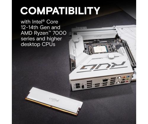 MEMORY DIMM PRO 32GB DDR5-6000/KIT2 CP2K16G60C36U5W CRUCIAL