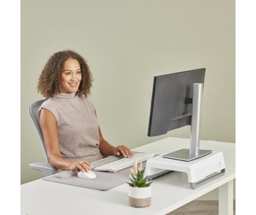 MOUSE PALM WRIST REST/SAND 100142569 FELLOWES