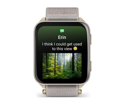 SMARTWATCH VENU X1/GOLD/TITAN 010-02980-09 GARMIN