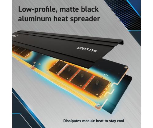 MEMORY DIMM PRO 48GB DDR5-5600/KIT2 CP2K24G56C46U5 CRUCIAL