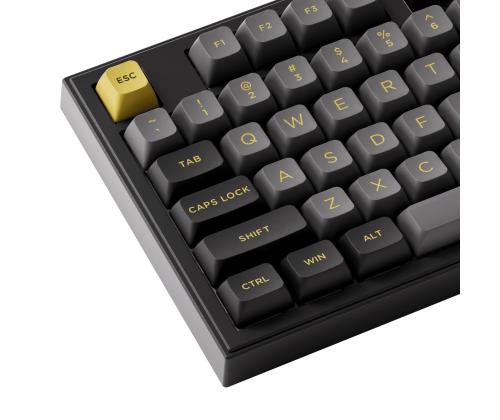 KEYBOARD WRL 5098B PLUS/BLACK/GOLD 6925758630917 AKKO