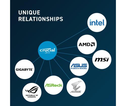 MEMORY DIMM 32GB DDR5-5600/CT32G56C46U5T CRUCIAL