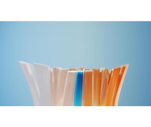 ELECTRIC TOOTHBRUSH ACC HEAD/HX9094/87 PHILIPS