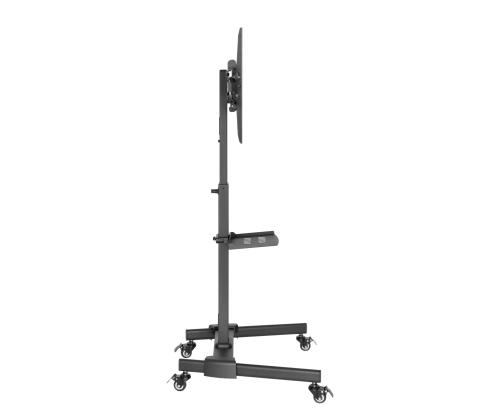 TV SET ACC FLOOR STAND 32-55"/TVS-55T-01 GEMBIRD