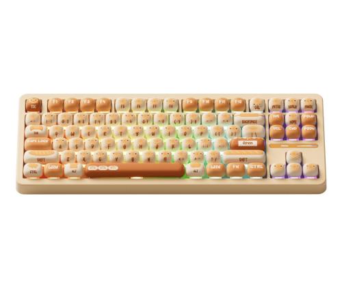KEYBOARD WRL TAC87/BUN WONDER. 103-TA87B-009 AKKO