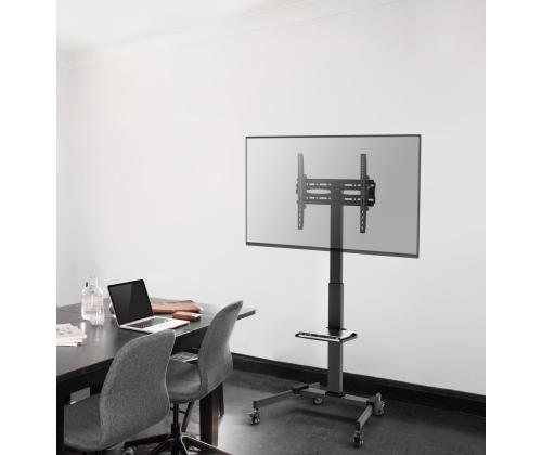 TV SET ACC FLOOR STAND 32-55"/TVS-55T-01 GEMBIRD