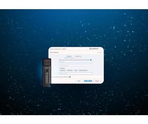MEMORY DRIVE FLASH USB3.2/256GB IKLP50G2/256GB KINGSTON