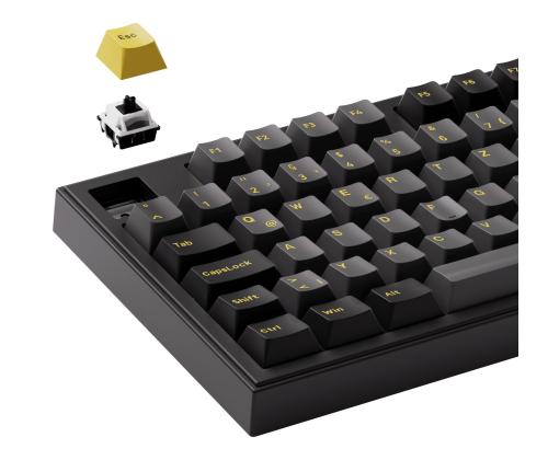 KEYBOARD WRL 5098B/BLACK/GOLD 6925758631921 AKKO