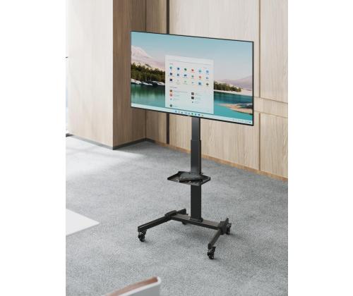 TV SET ACC FLOOR STAND 32-55"/TVS-55T-01 GEMBIRD